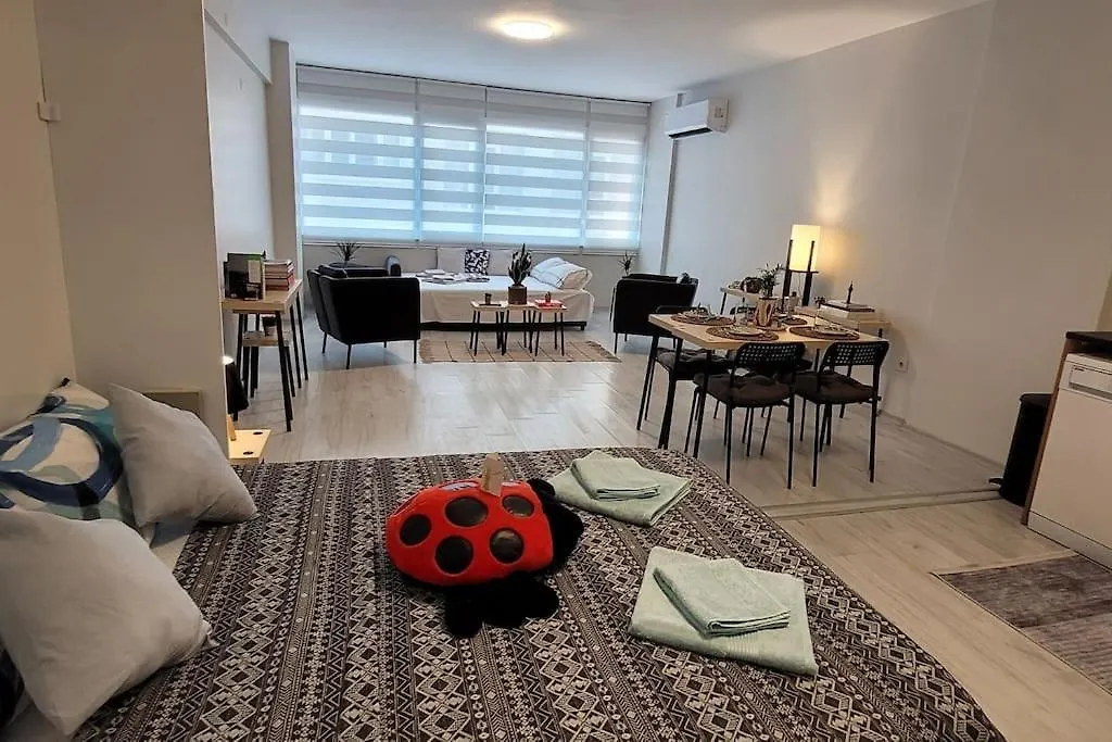 New Cosy Studio In The Heart Of Kadikoy Διαμέρισμα Κωνσταντινούπολη Τουρκία